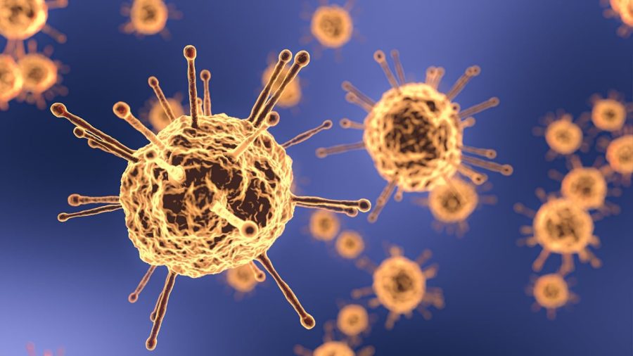 WHO schlägt Vogelgrippe-Alarm: Das Virus “entwickelt sich”