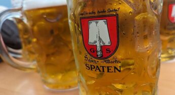 Bierpreis auf dem Oktoberfest seit 1999 mehr als verdoppelt