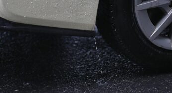 Studie: Reifenabrieb verändert Mikrobenwelt im Rhein