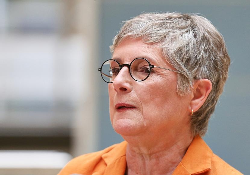 Grüne und Linke kritisieren Vorgehen bei Verfassungsrichter-Wahl