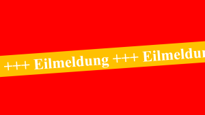 Alle Passagiere tot: Flugzeug geht in Flammen auf – deutsche Touristen an Bord