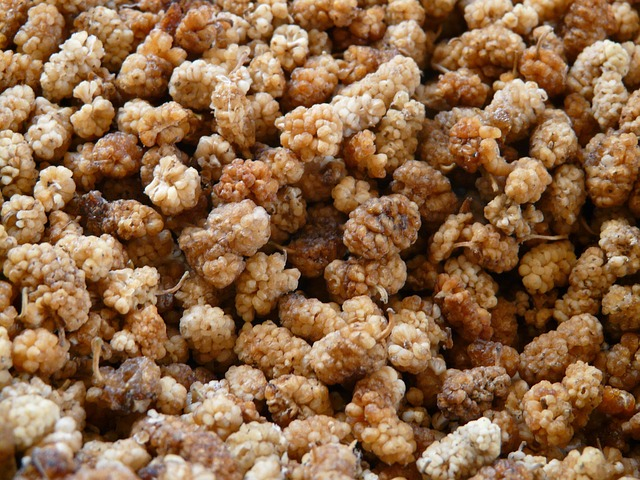 Bundesweiter Rückruf von Trockenobst