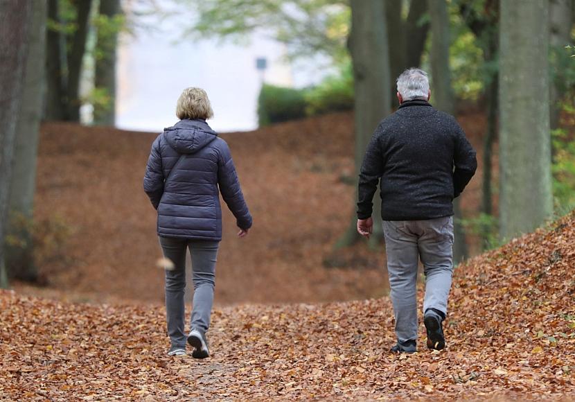 Linke warnt vor Kopplung der Rente an Inflation