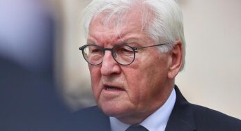 AfD kritisiert Steinmeier nach Aussagen zu möglichem Parteiverbot