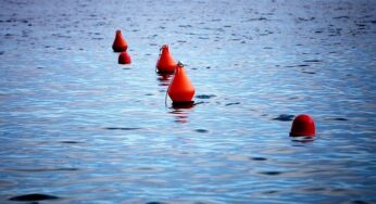 Monopolkommission warnt vor Abhängigkeit bei Unterseekabeln