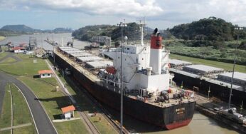 OECD warnt vor anhaltenden Risiken für Weltwirtschaft