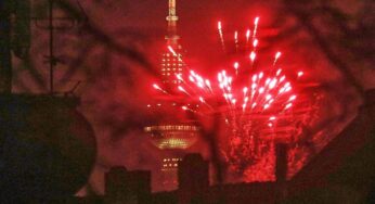 Silvester: Grüne wollen verschärfte Sprengstoffverordnung