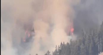 Brandstiftung: Großbrand in den Alpen