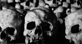 Horrorfund: Menschliche Knochen in deutschem Wald entdeckt