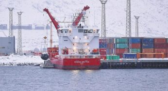 Grönland-Streit: Berlin erwägt Aktivierung der „Handels-Bazooka“