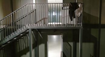 Ökonomen warnen vor CSU-Plänen für Abschiebeoffensive