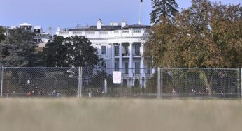 Trump-Sohn verteidigt Grönland-Drohungen seines Vaters