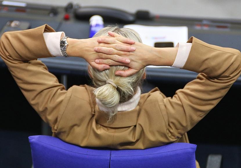 AfD-Chefin Weidel fordert im Grönland-Konflikt Gelassenheit