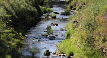 Umweltministerium startet Renaturierungsprogramm für Flussauen
