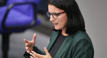 Epstein: Grüne fordern Bundesregierung zu Nachforschungen auf