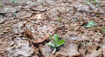 Krieg verschärft Irans Wasserkrise