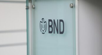 Grüne wollen Aufbau eines europäischen Geheimdienstverbunds