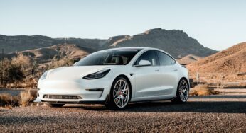 Todesfalle Tesla: Türen blockierten in Flammeninferno