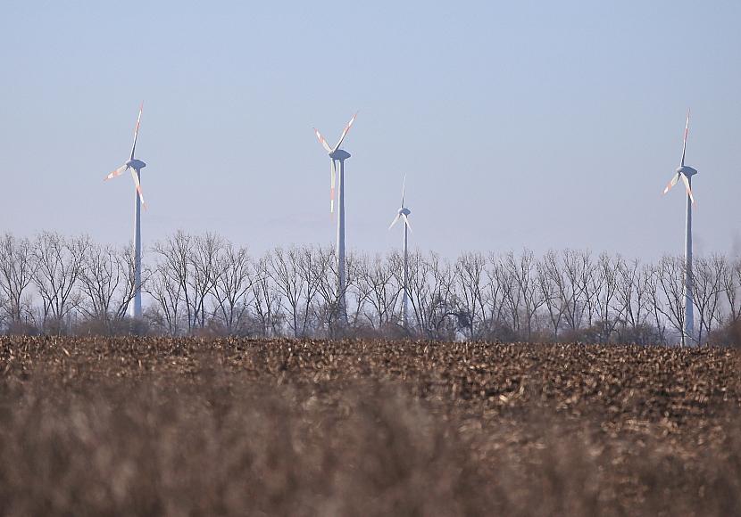 Schneider drängt Koalition zu mehr Unterstützung bei Energiewende