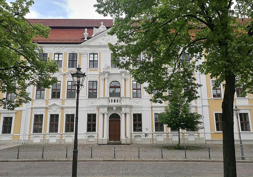 AfD sucht Personal für Alleinregierung in Sachsen-Anhalt