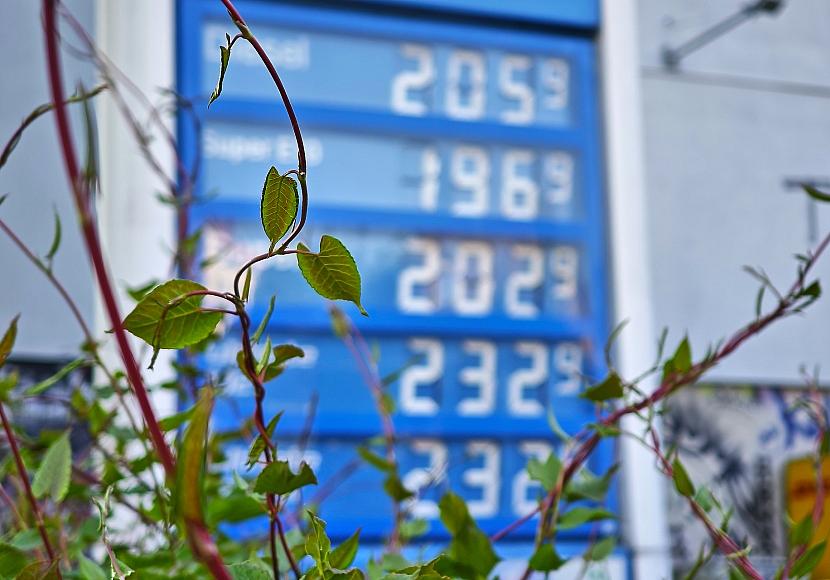 Ifo-Institut: Preisdruck lässt etwas nach – Inflation bleibt hoch