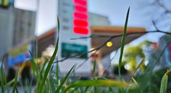 Landkreise fordern Anschlusslösung für Tankrabatt
