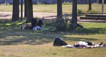 Ministerium: Hitzewelle fordert im Saarland viele Todesopfer