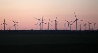 BUND: Erneuerbare Energien glätten Strompreisspitzen