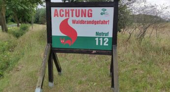 Waldbrand-Experte empfiehlt verstärkten Mischwaldanbau