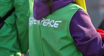 Greenpeace: Analyse zeigt hohe „Übergewinne“ bei Benzin im Mai
