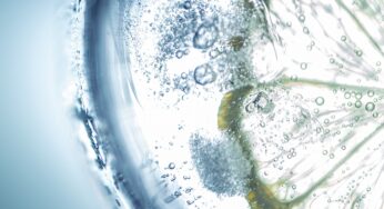 Stiftung Warentest: Das beste Mineralwasser kommt vom Discounter