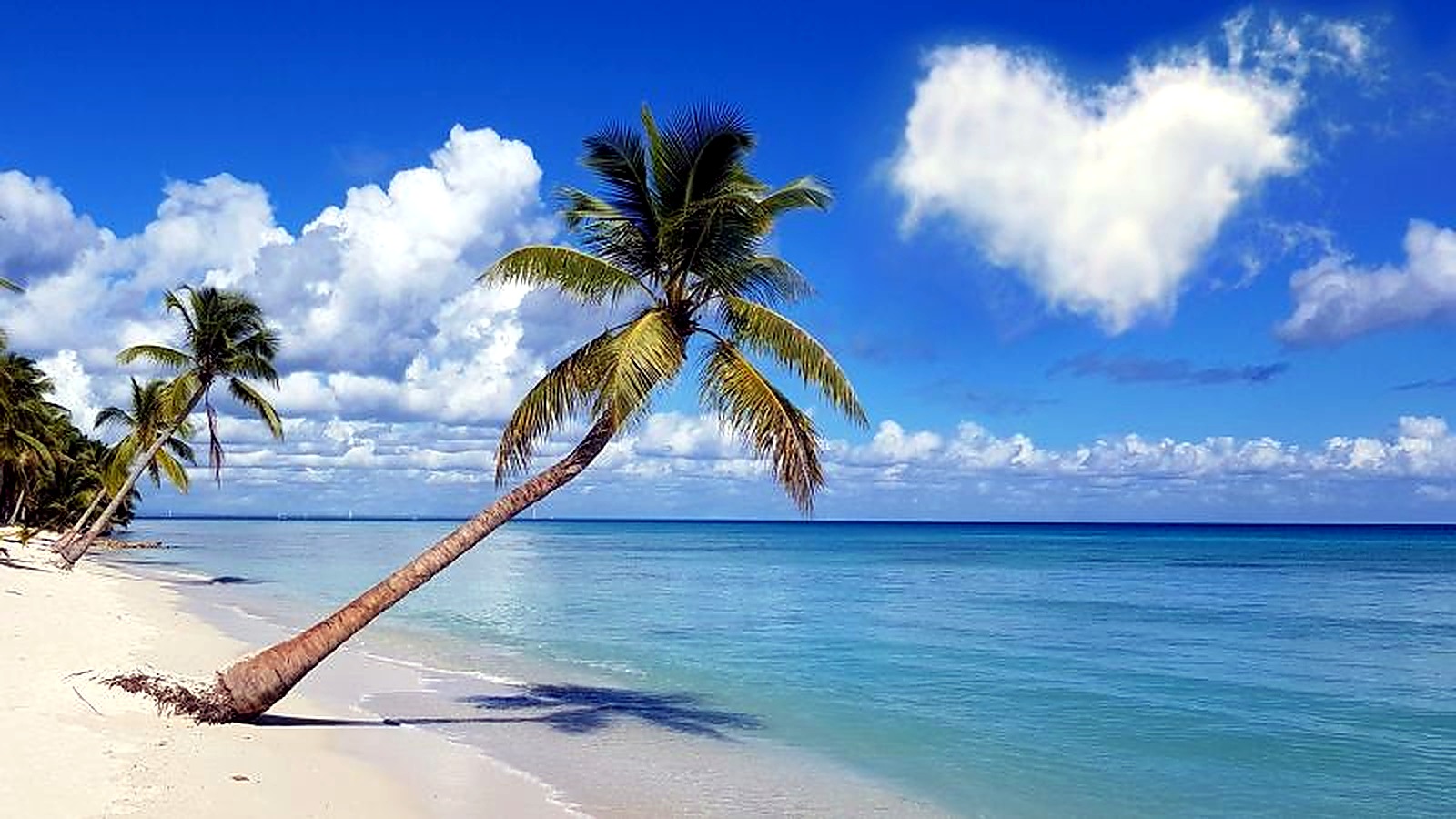 Air Canada Flight Deals: Orlando, London and the Dominican Republic from $282