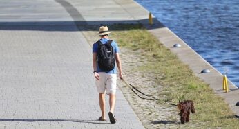 DWD: Südwesten erlebt im Juli extreme Hitze und Trockenheit