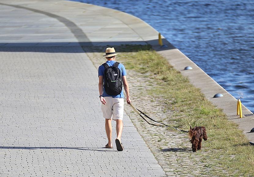 DWD: Südwesten erlebt im Juli extreme Hitze und Trockenheit