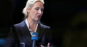 Weidel hält sich bei Reform von Unvereinbarkeitsliste bedeckt