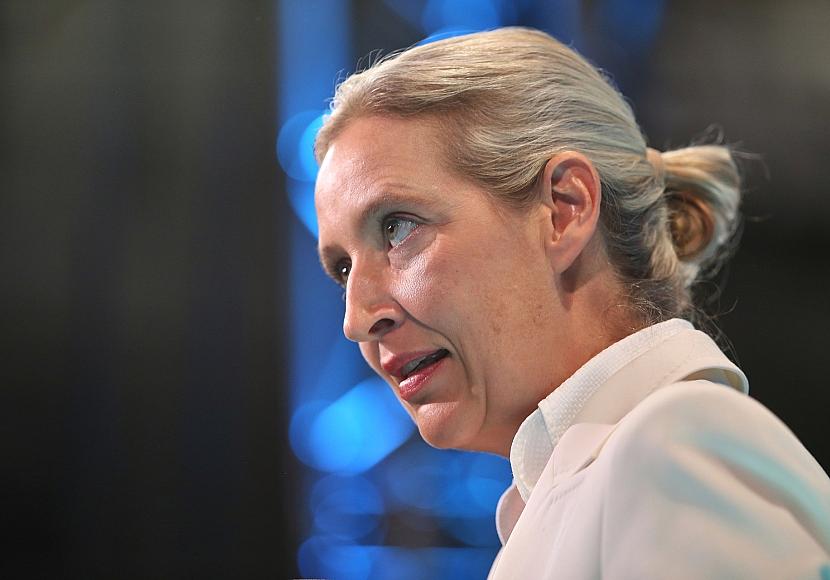 Weidel kritisiert Familienbild in Sachsen-Anhalter AfD-Wahlprogramm