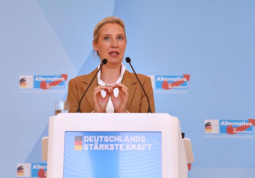 AfD will Fünf-Prozent-Hürde ersatzlos streichen