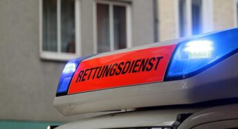 Hitze: Verbände wollen Verfassungsänderung für mehr Klimaanpassung