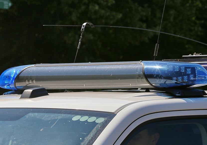 Männlicher Torso in Wald bei Flensburg gefunden