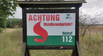 Grüne fordern nationale Feuermanagementstrategie