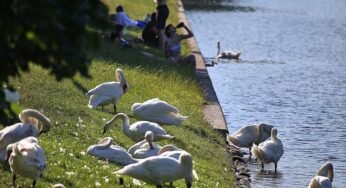 DWD: September ungewöhnlich warm und im Südwesten extrem trocken
