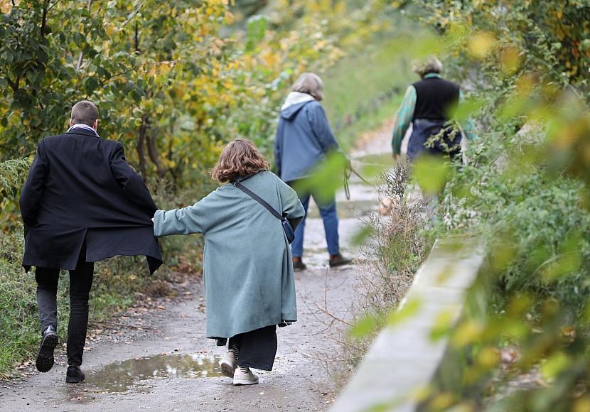 Bildungsunterschiede bei jüngeren Paaren geringer als bei älteren
